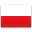 Polish Polish